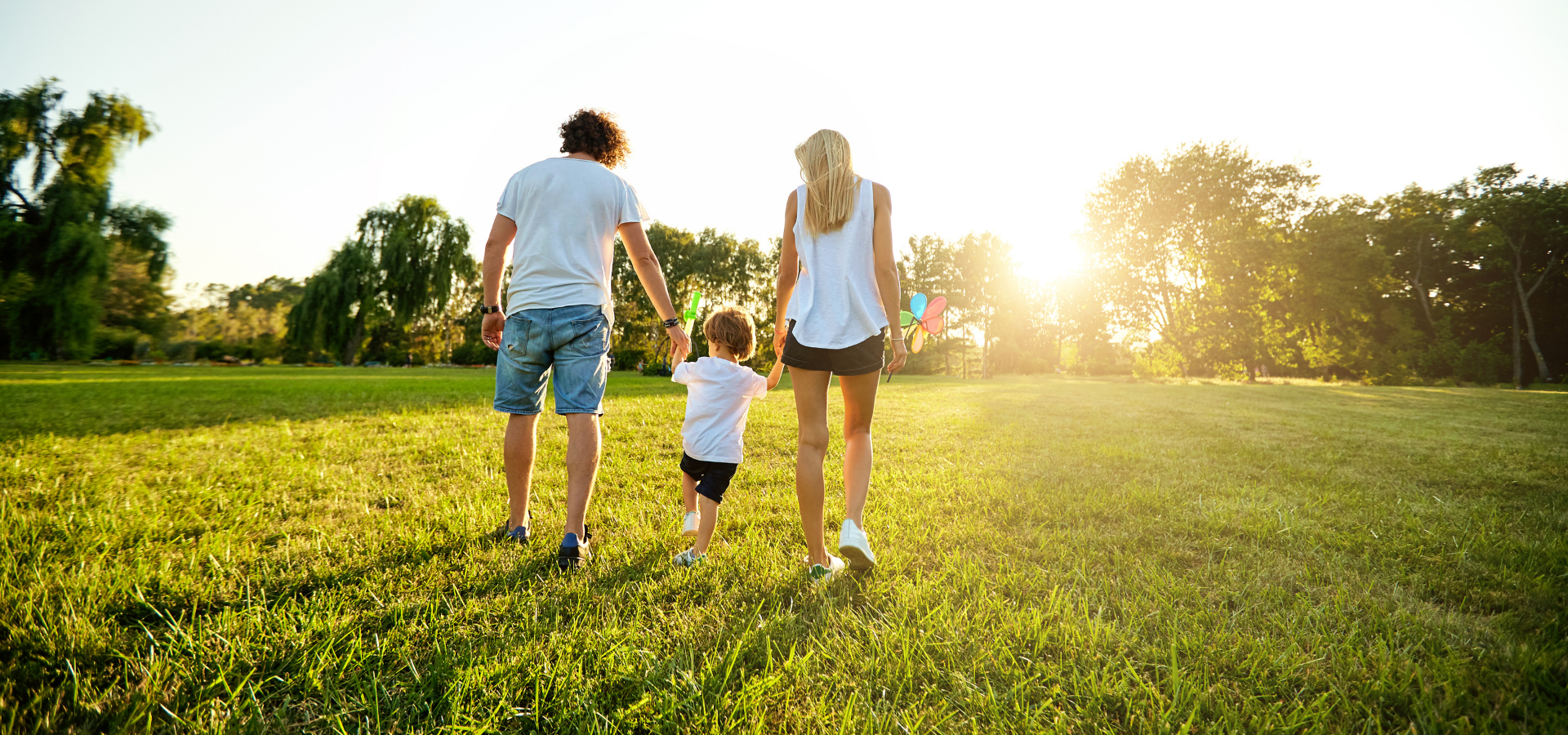 Conhece as nossas principais zonas de atuação