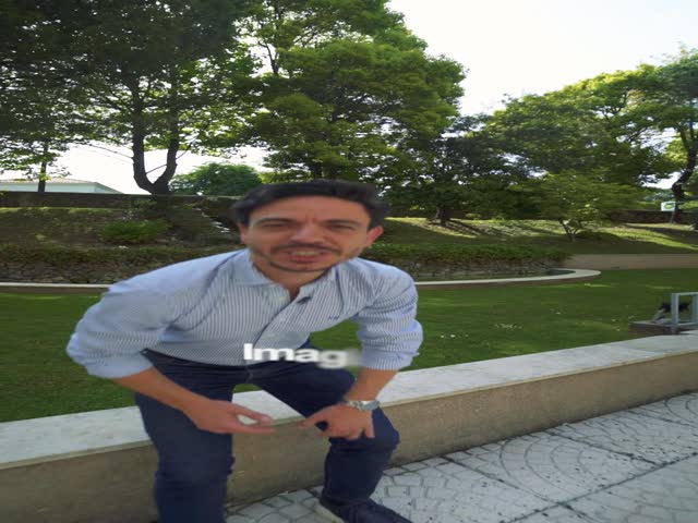 No Flash found